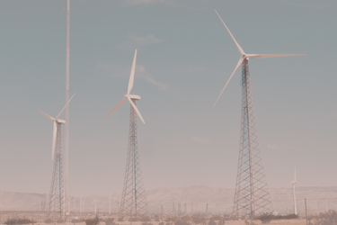 Industry Renewable Energy